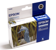 Картридж с светло-голубыми чернилами Epson C13T048540