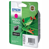 Картридж Epson C13T054340