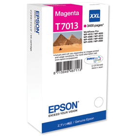 Картридж Epson C13T70134010