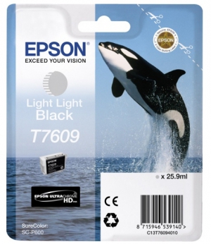 Картридж Epson C13T76094010 Light Black